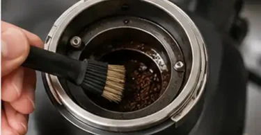 Breville Smart Grinder Pro burr area being cleaned with a dry brush